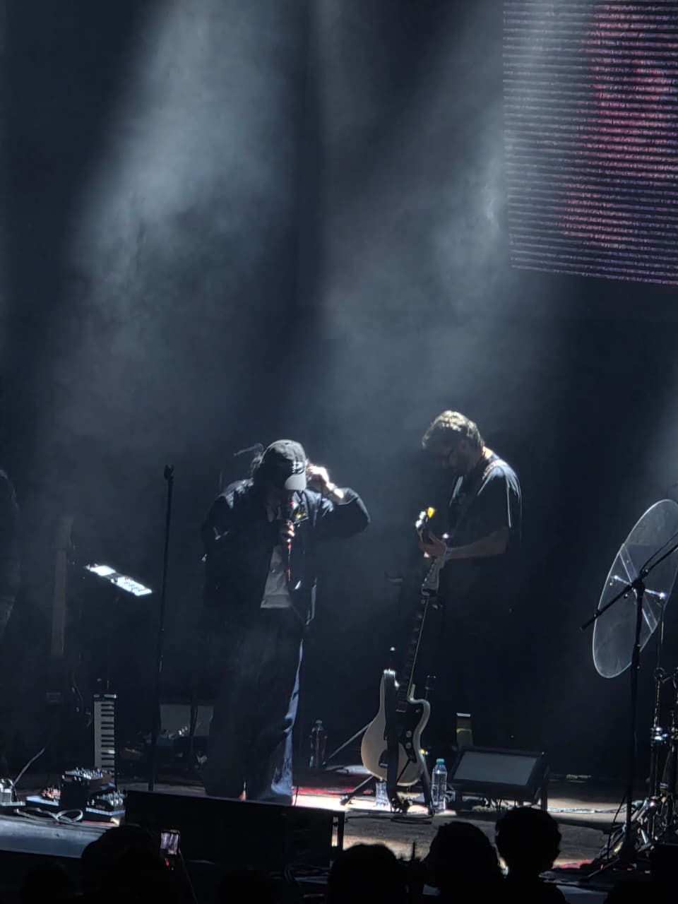 Público coreando durante concierto de Depresión Sonora en el Metropólitan