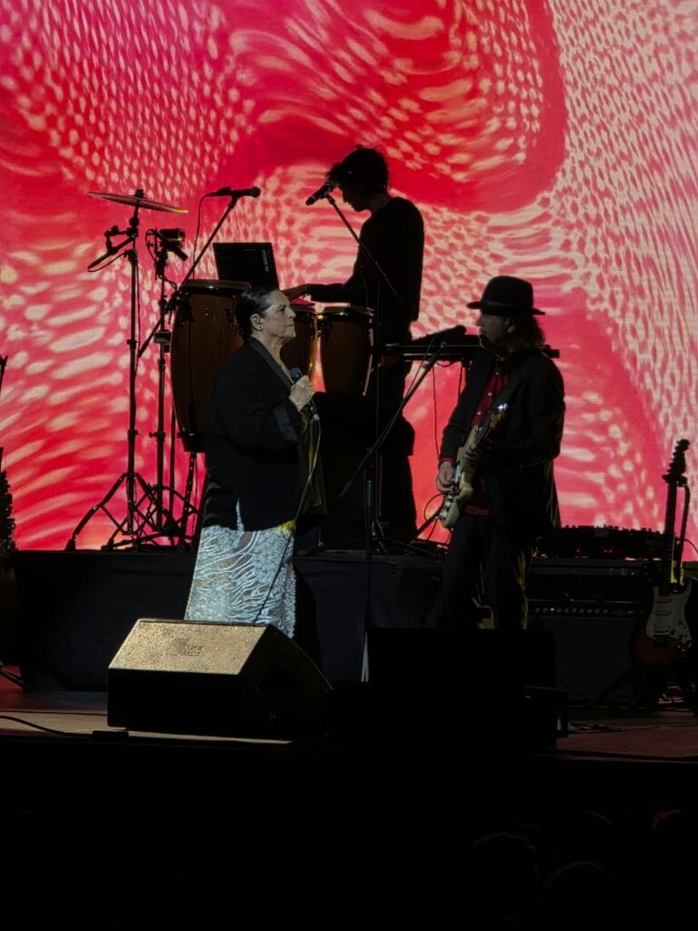 Madreperla concierto en el Teatro Metropólitan